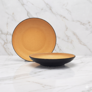 assiette circle bicolore